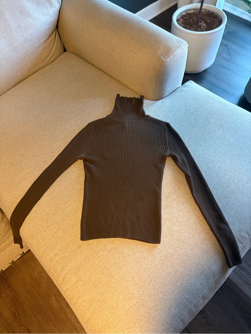 Express Ribbed Turtleneck Sweater - Brown